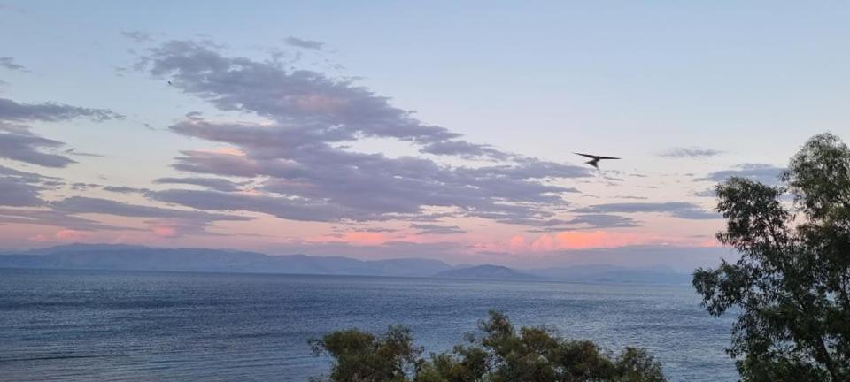 Aparthotel Ionian Mare Agios Ioannis Peristerion